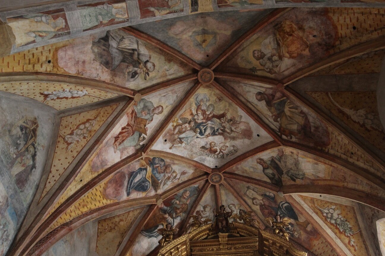 Img2 56056093 Default Variant