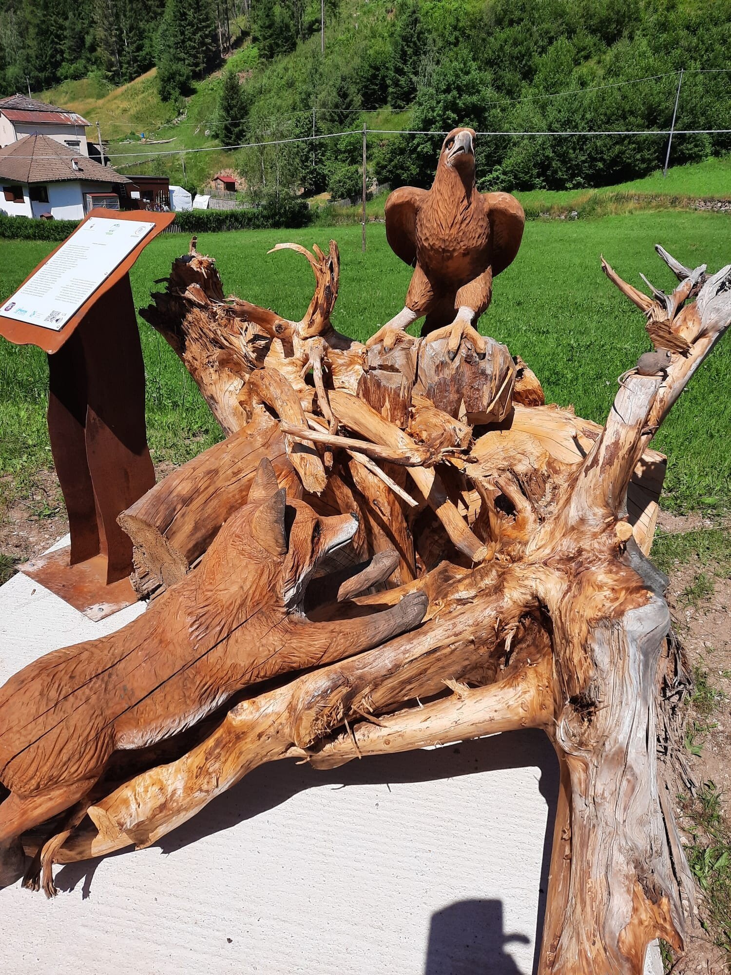 Img2 72084165 Default Variant