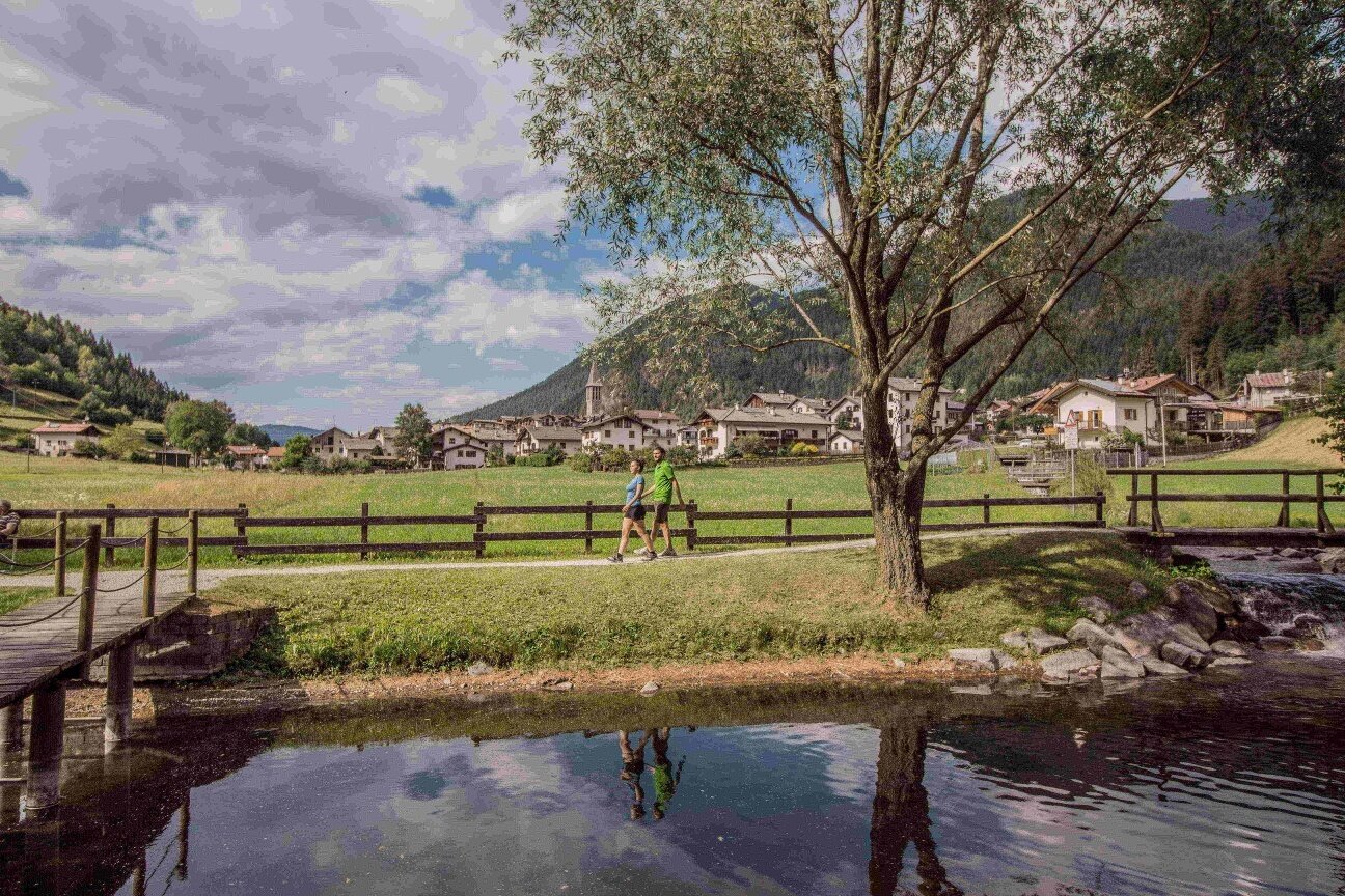 Img2 56817394 Default Variant