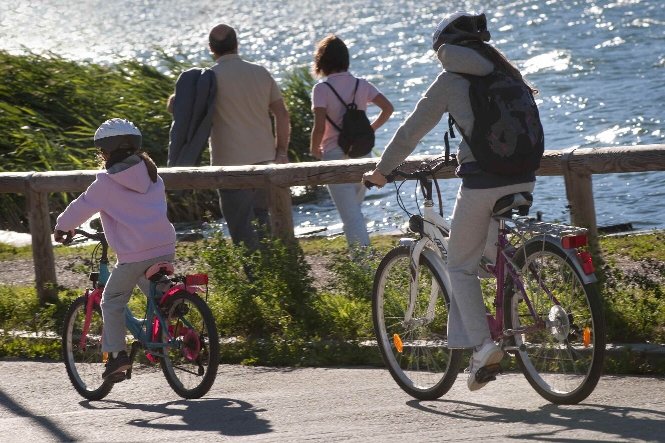 Img2 56817456 Default Variant