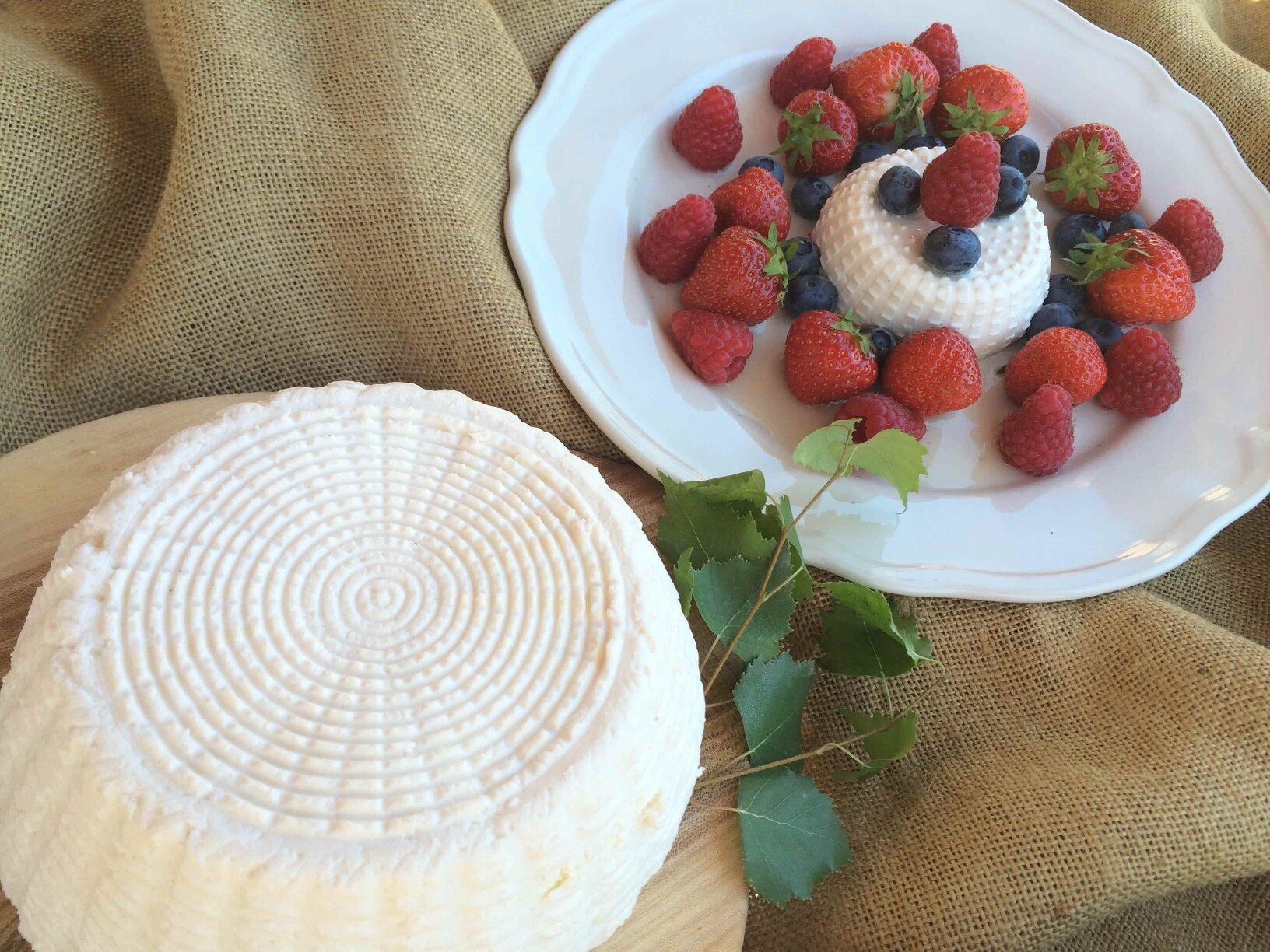 Img2 56817458 Default Variant