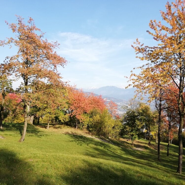 Sardagna - The Chestnut Path - TRENTO