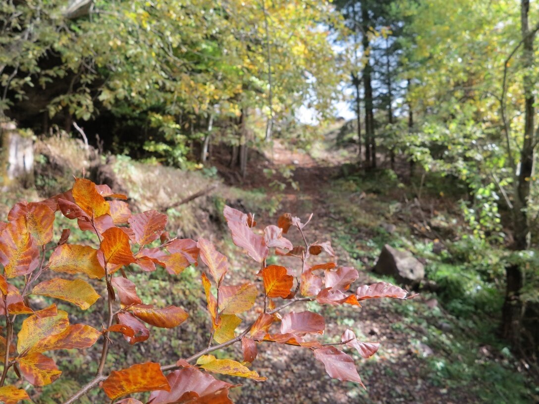 Img2 78413326 Default Variant