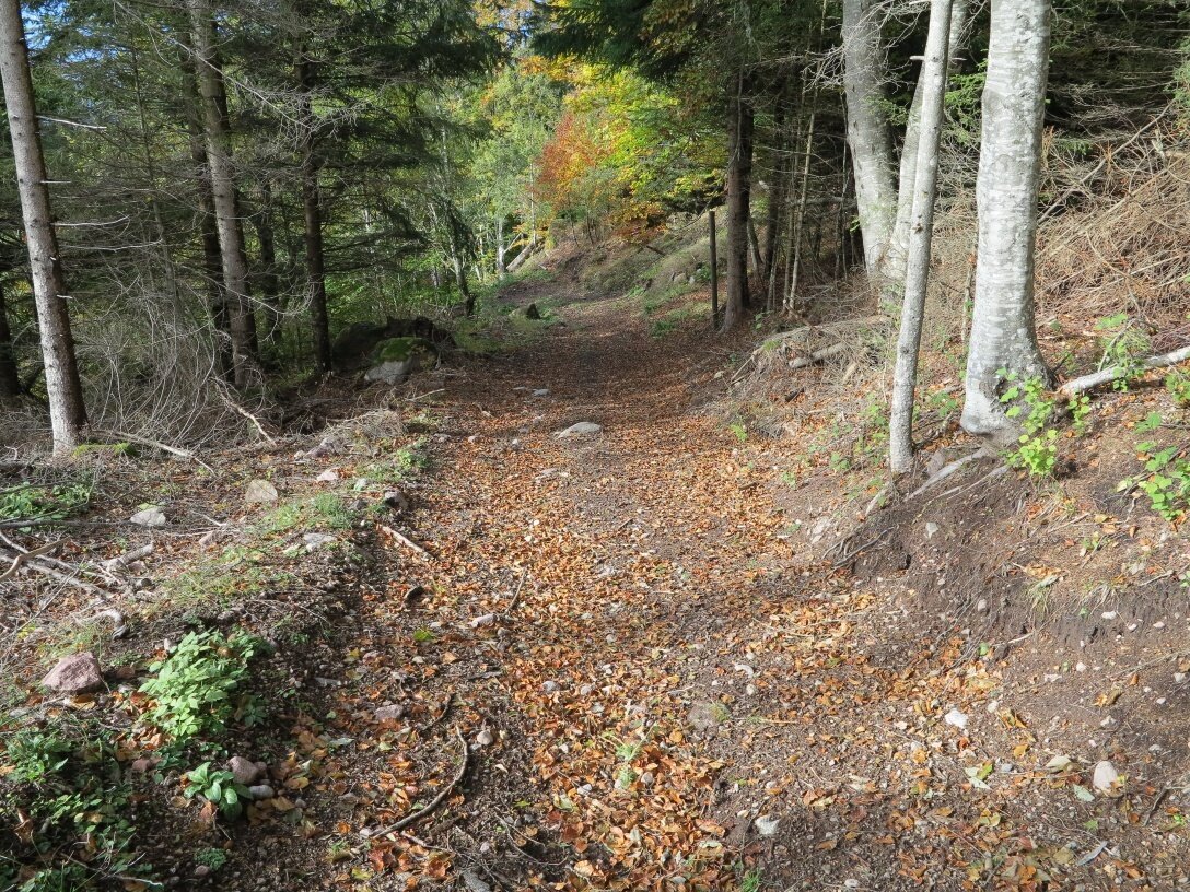 Img2 78413327 Default Variant