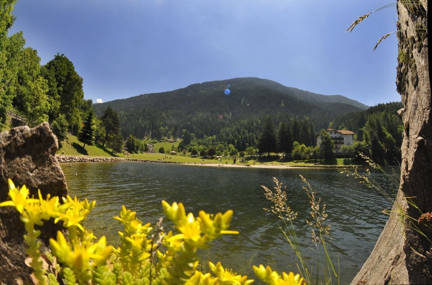 Img2 58168287 Default Variant