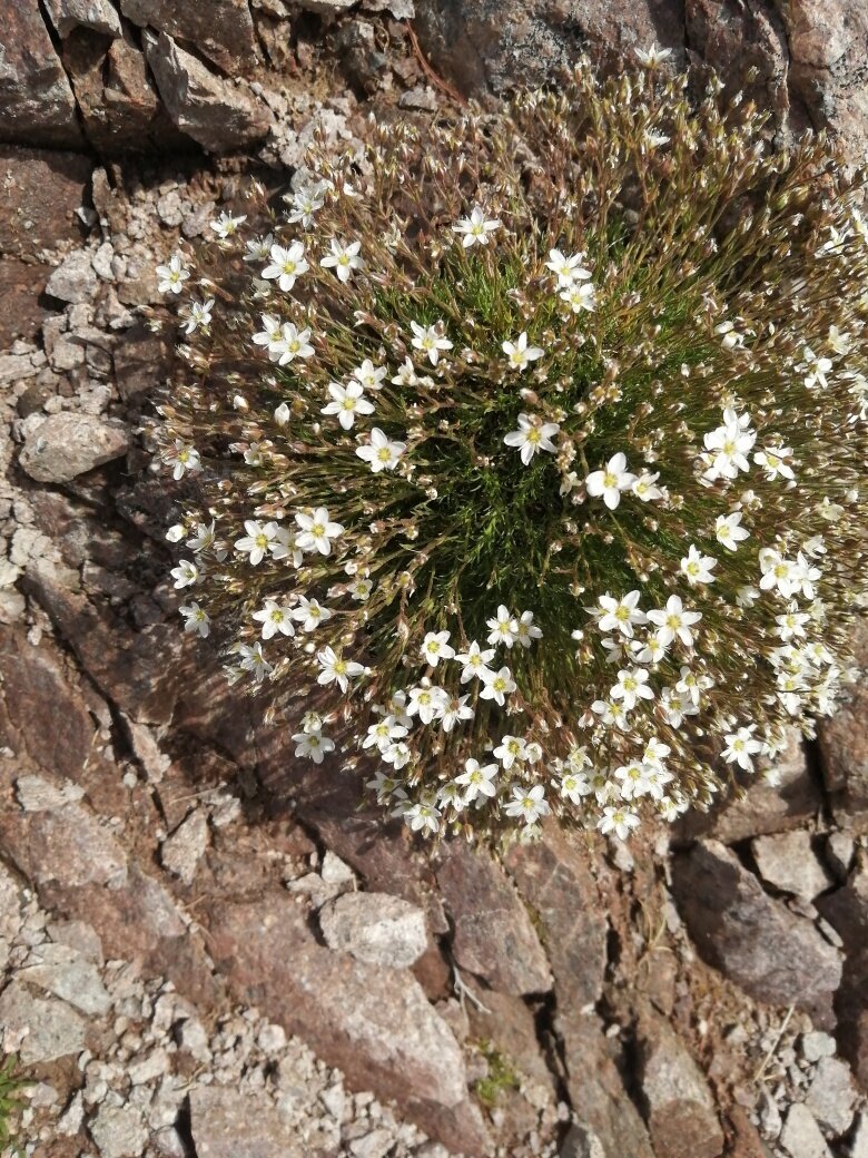 Img2 96201810 Default Variant