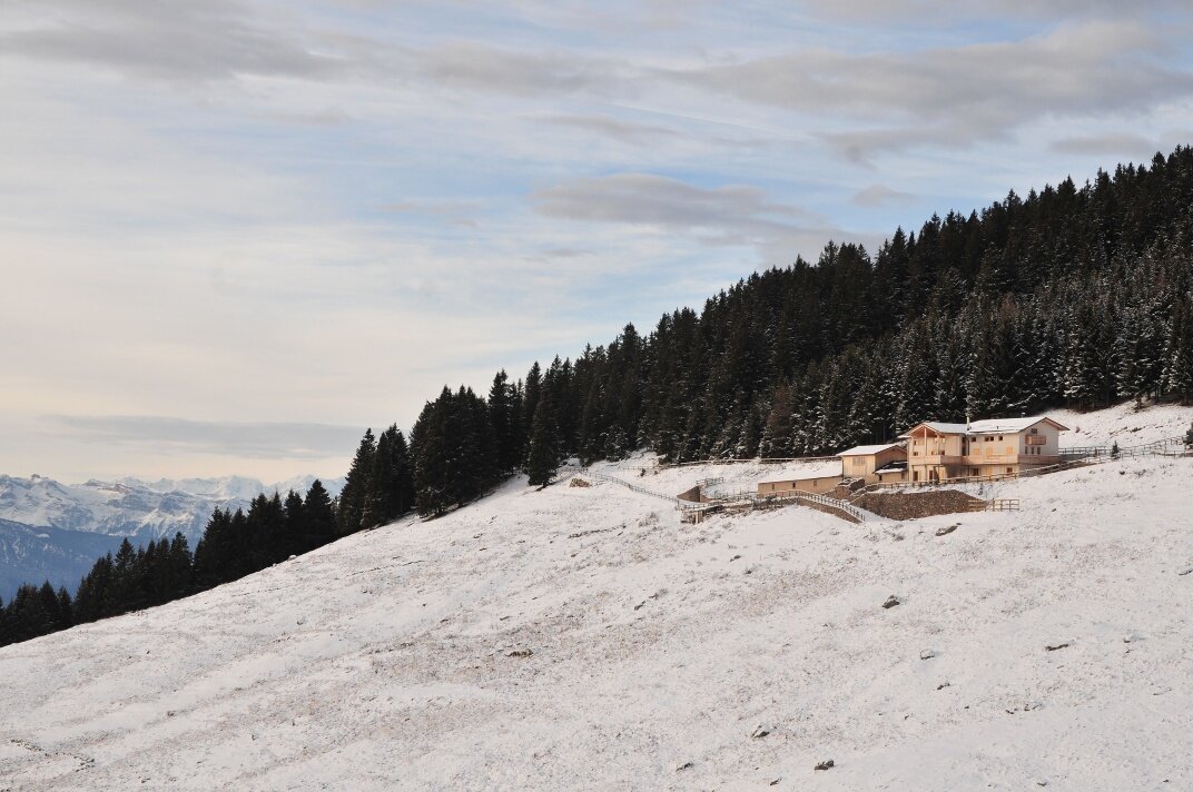 Img2 95927391 Default Variant