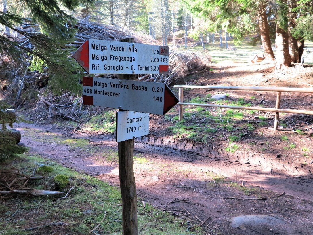 Img2 54902954 Default Variant