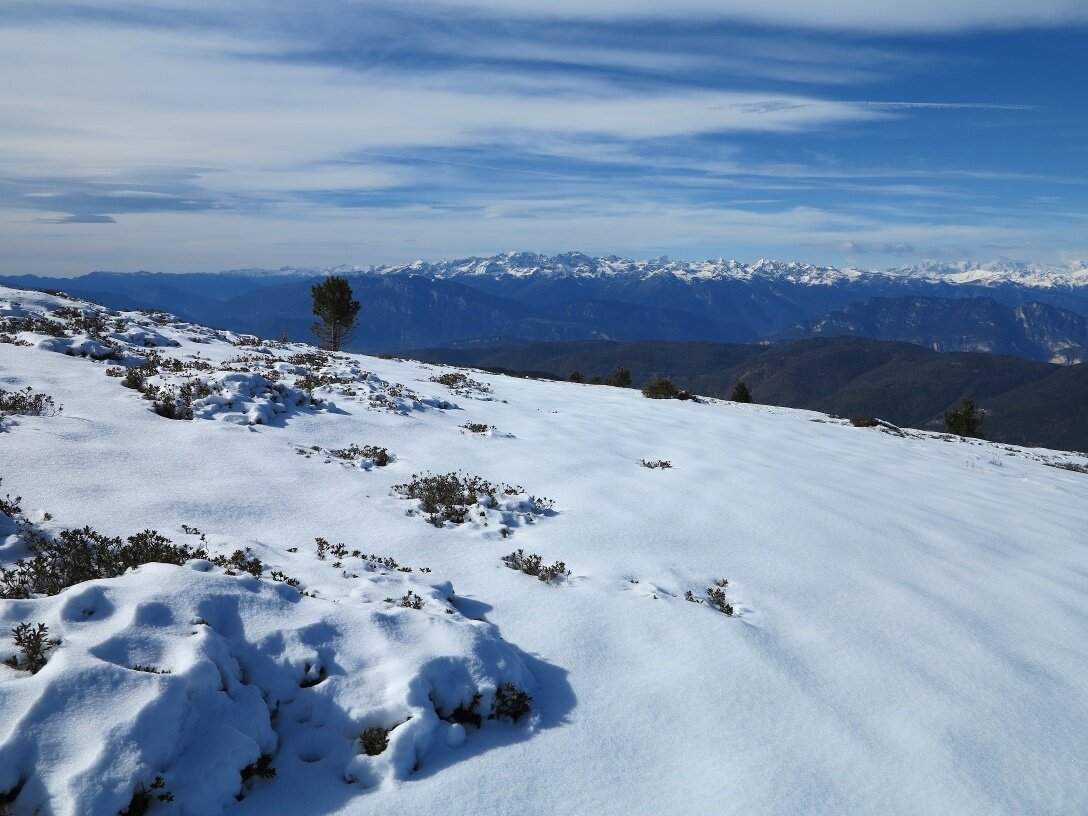 Img2 54902978 Default Variant