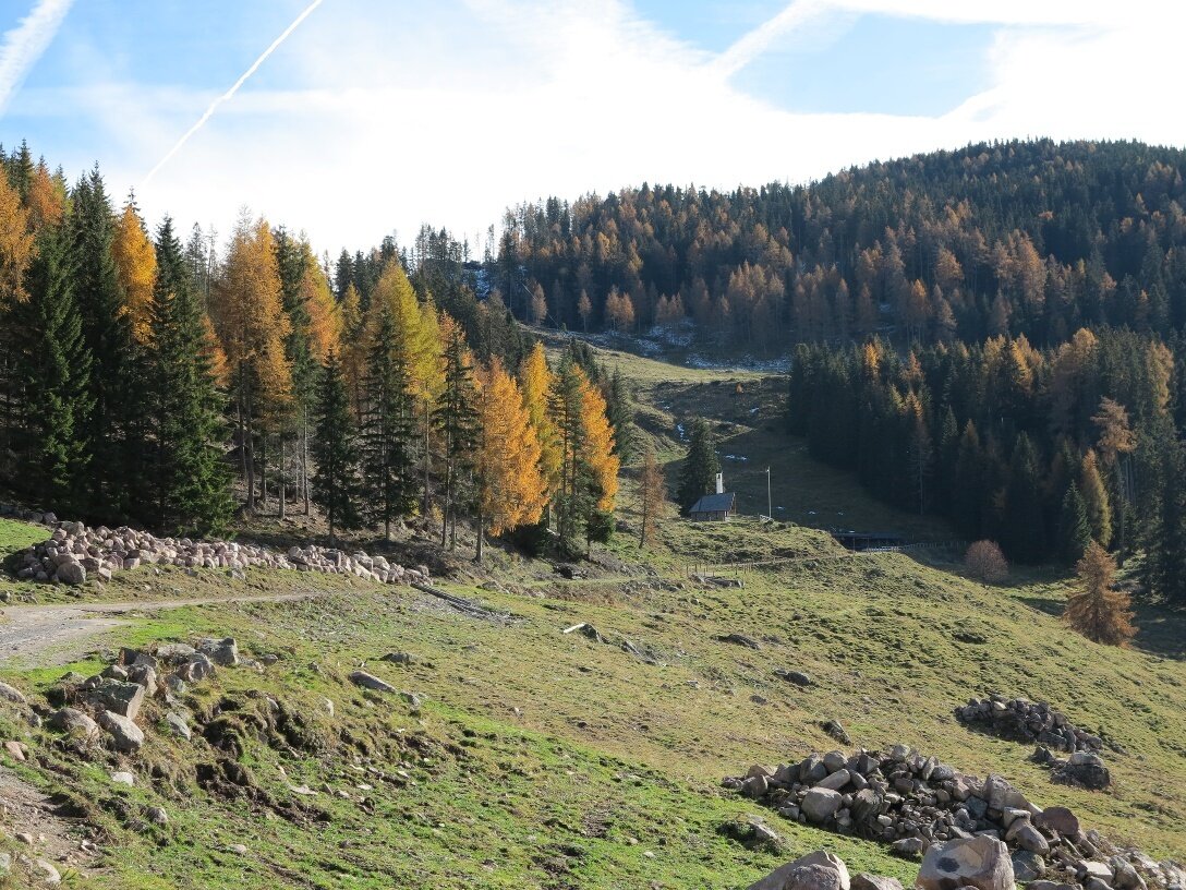 Img2 54902989 Default Variant