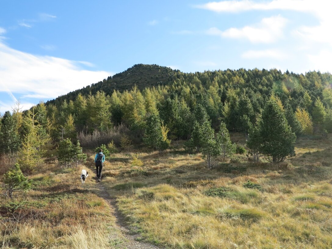 Img2 53968836 Default Variant