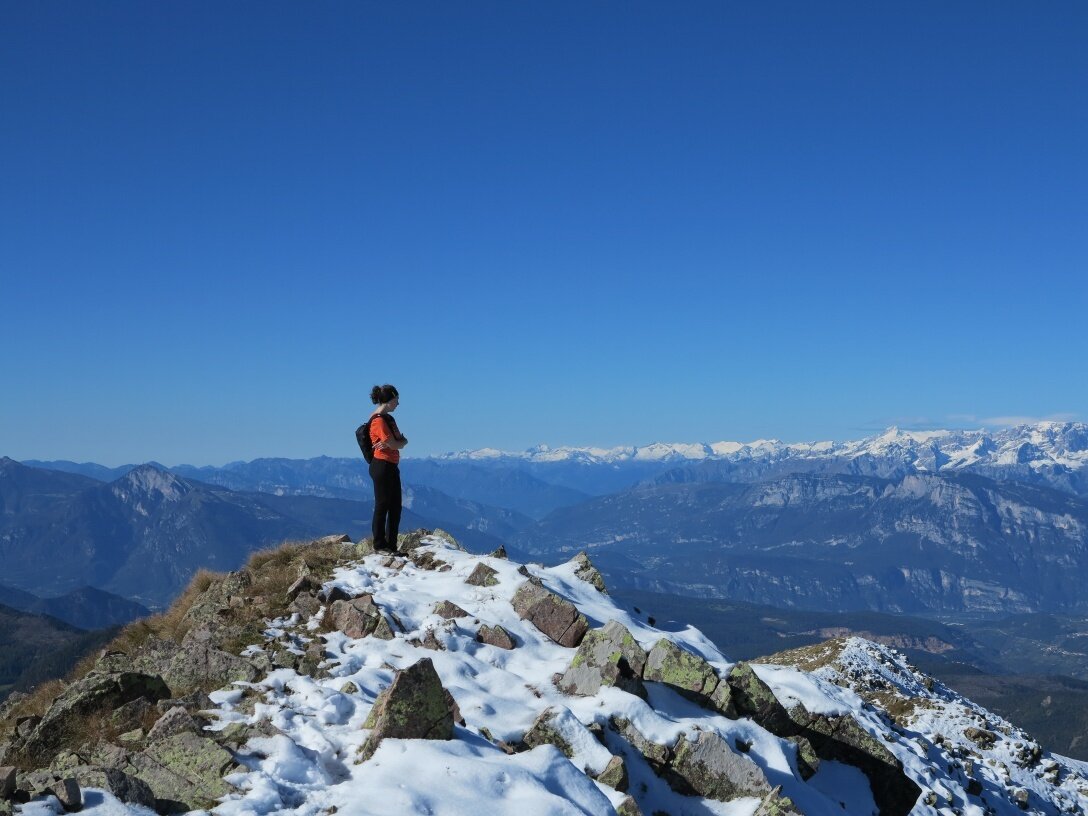 Img2 54861559 Default Variant