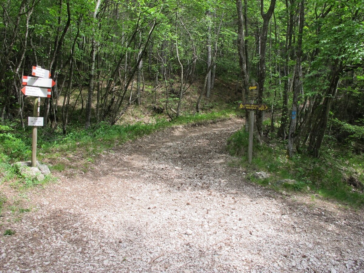 Img2 21031208 Default Variant