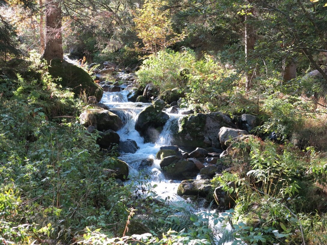 Img2 54257310 Default Variant