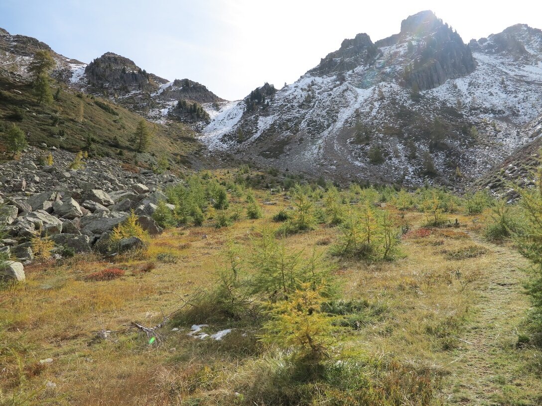 Img2 54257339 Default Variant