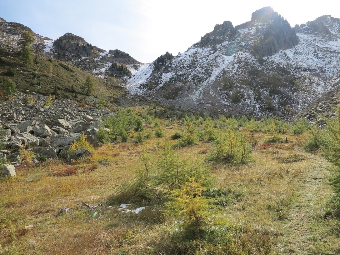 Img2 54257339 Default Variant