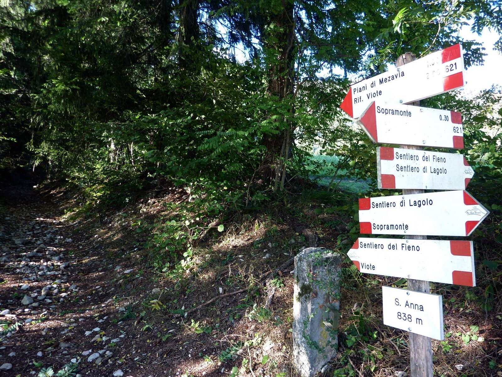 Img2 21333879 Default Variant