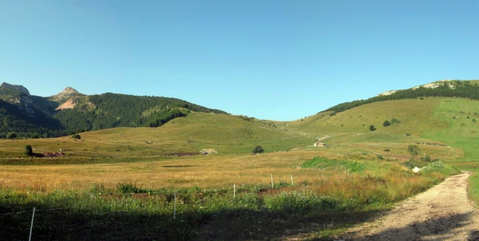 Img2 2069977 Default Variant