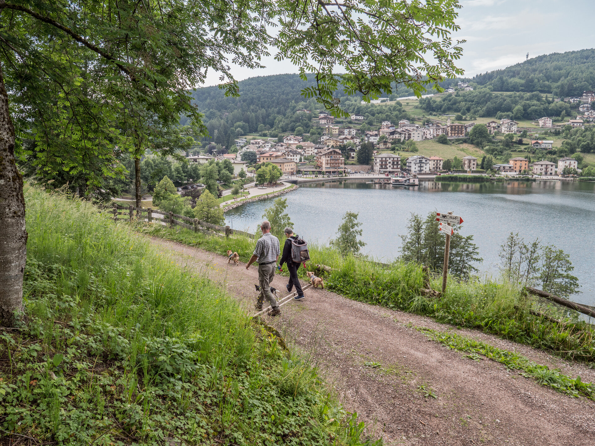 Content Dam Org 7 Images Full Rights Cultura Pine Borghi E Localita Turistiche Baselga Di Pine A Monticelli 45