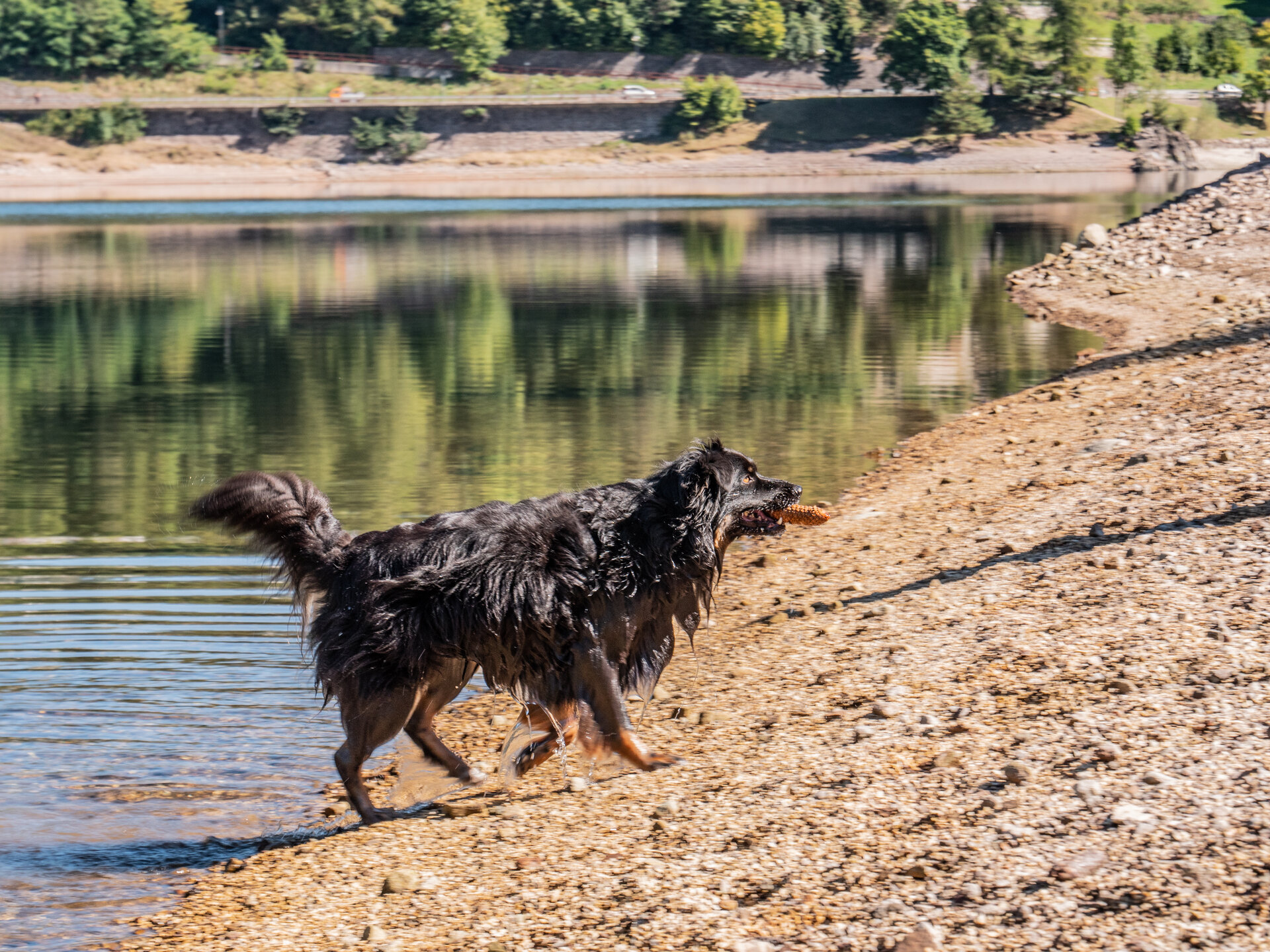 Content Dam Org 7 Images Full Rights Natura Laghi Balneabili E Spiagge Spiaggia Baubeach Baubeach A Monticelli 1
