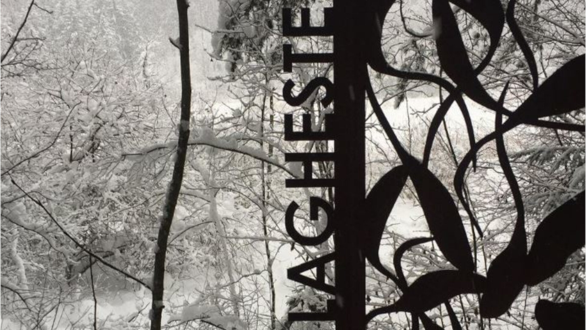 Content Dam Org 7 Images Full Rights Natura Laghetti Alpini E Cascate Biotopo Laghestel Inverno Apt Pine Cembra Caterina Avi