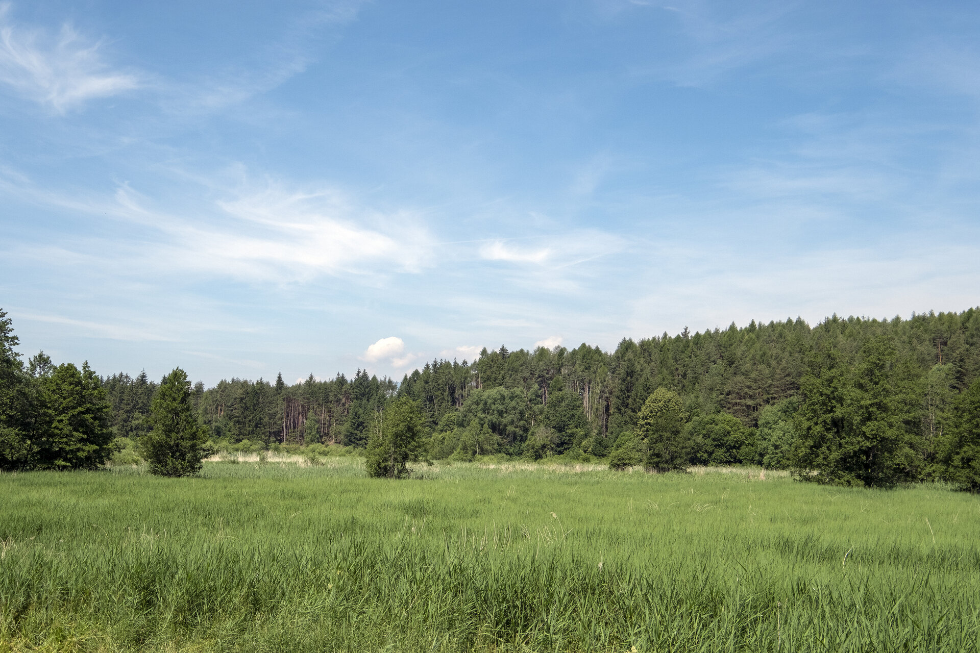 Content Dam Org 0 Images Full Rights Miste Laghestel Cf7301 Copia