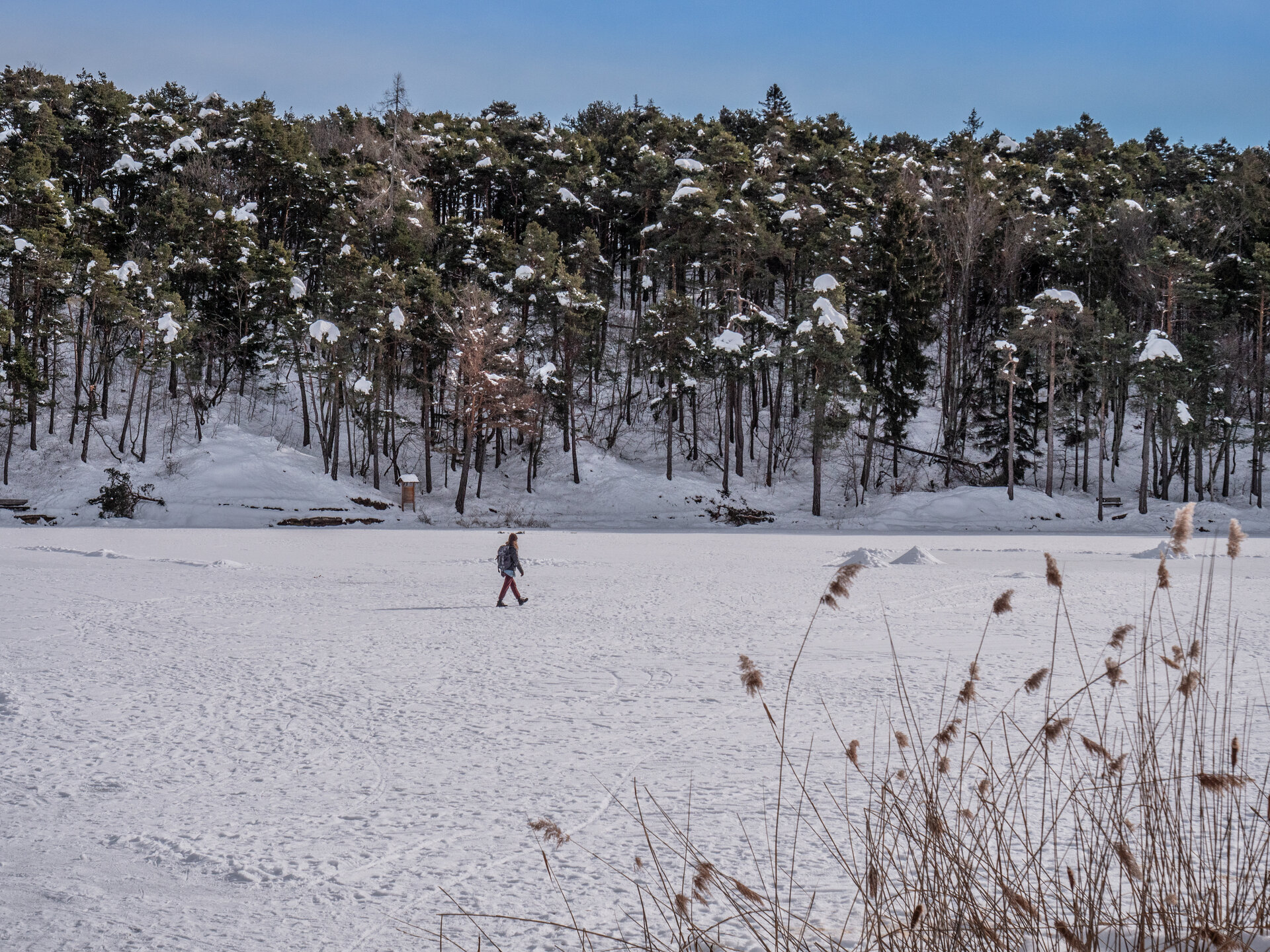 Content Dam Org 7 Images Full Rights Natura Pian Del Gacc S Colomba Inverno Ph A Monticelli 2