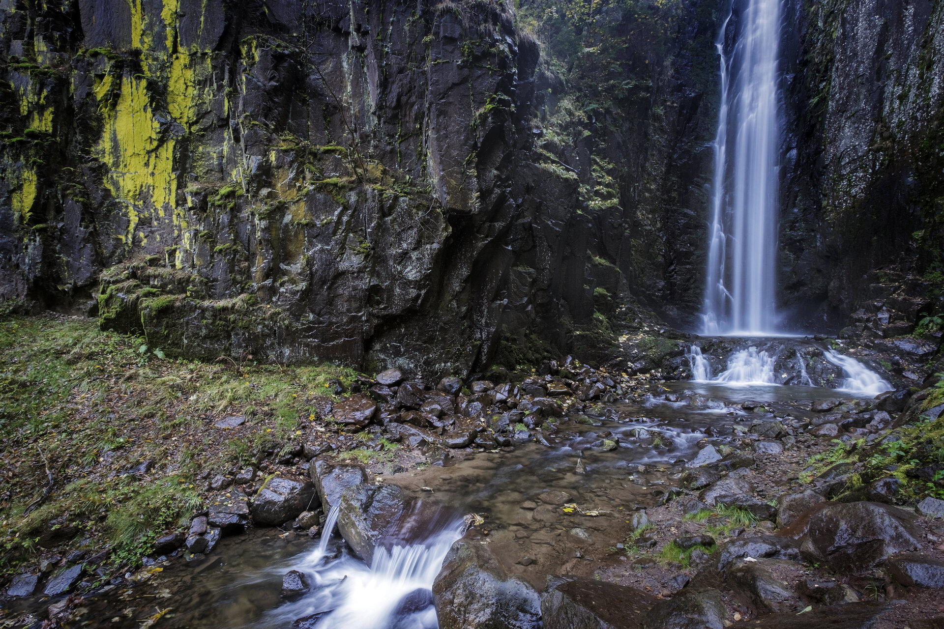 Content Dam Org 0 Images Full Rights Natura 36686