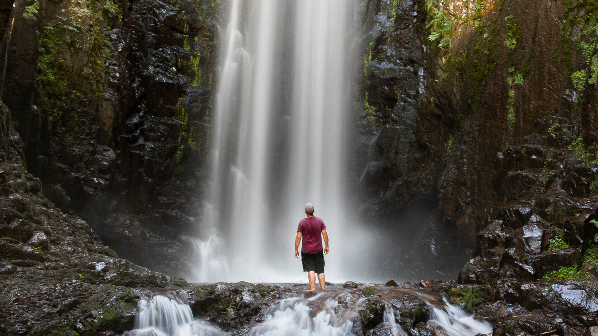 Content Dam Org 7 Images Full Rights Natura Laghetti Alpini E Cascate Cascata Del Lupo Estate Apt Pine Cembr C Droppert