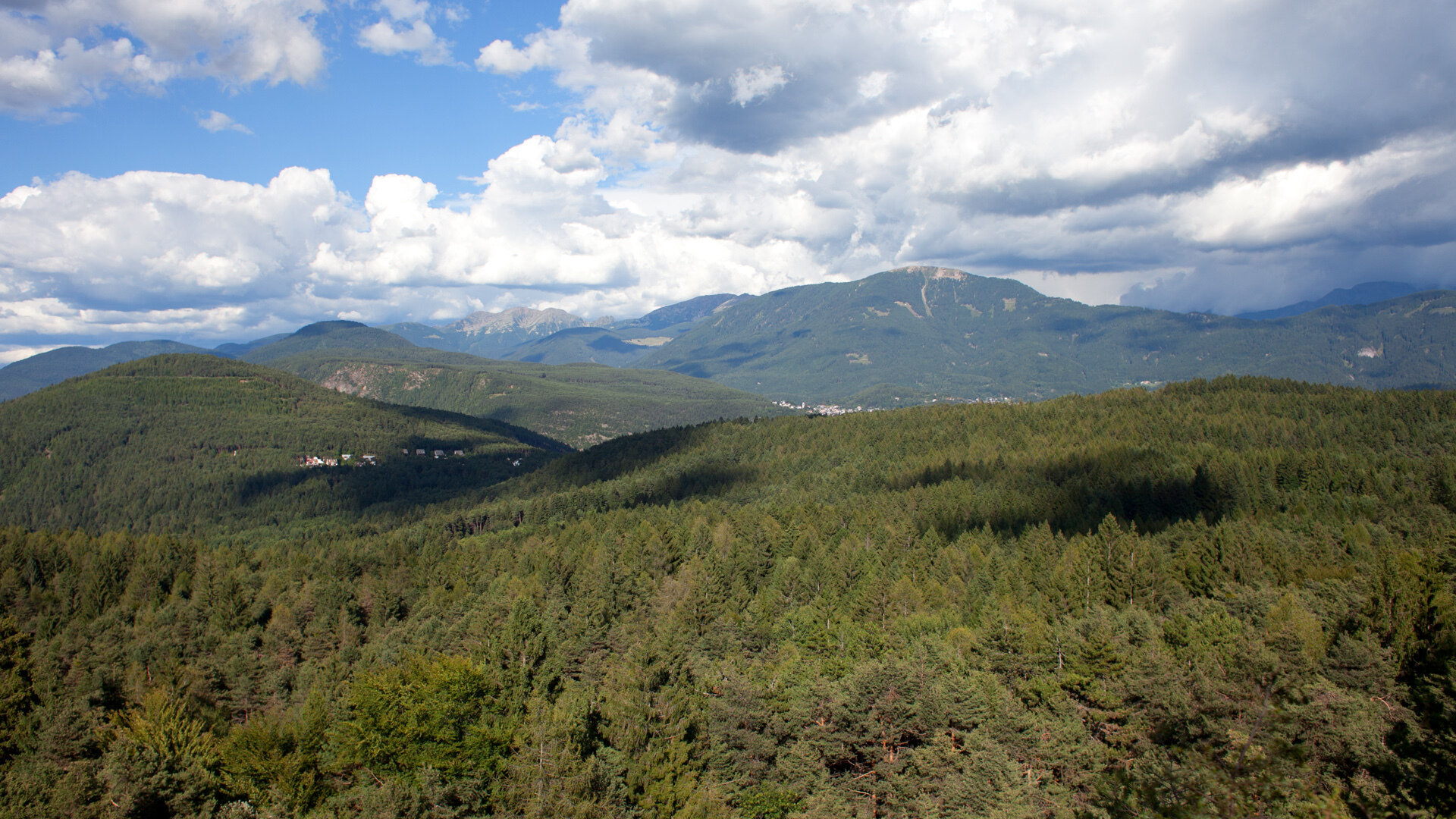 Content Dam Org 7 Images Full Rights Cultura Pine Musei Ed Ecomusei Ecomuseo Argentario Primavera Apt Pine Cembra S Parrini