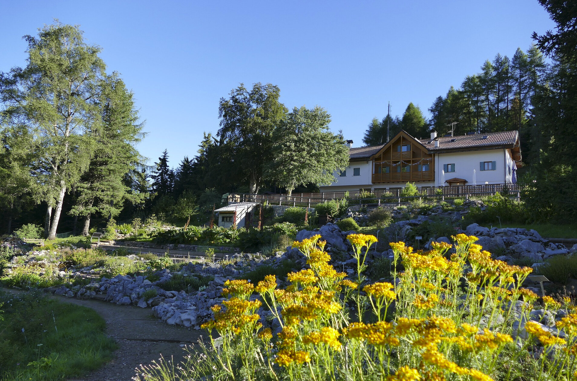 Viote Alpine Botanical Garden - Monte Bondone