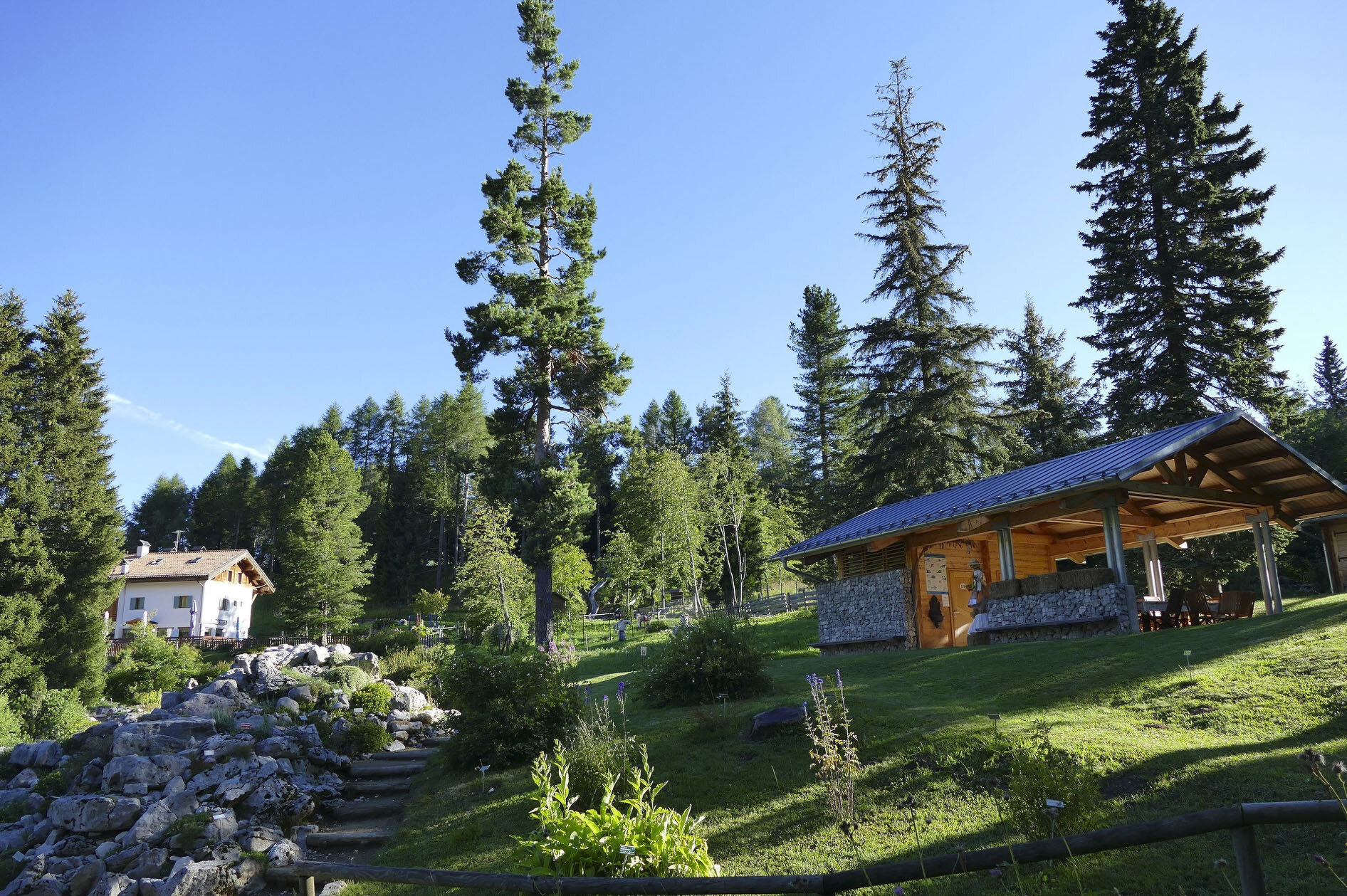 Content Dam Org 0 Images Full Rights Natura 37760