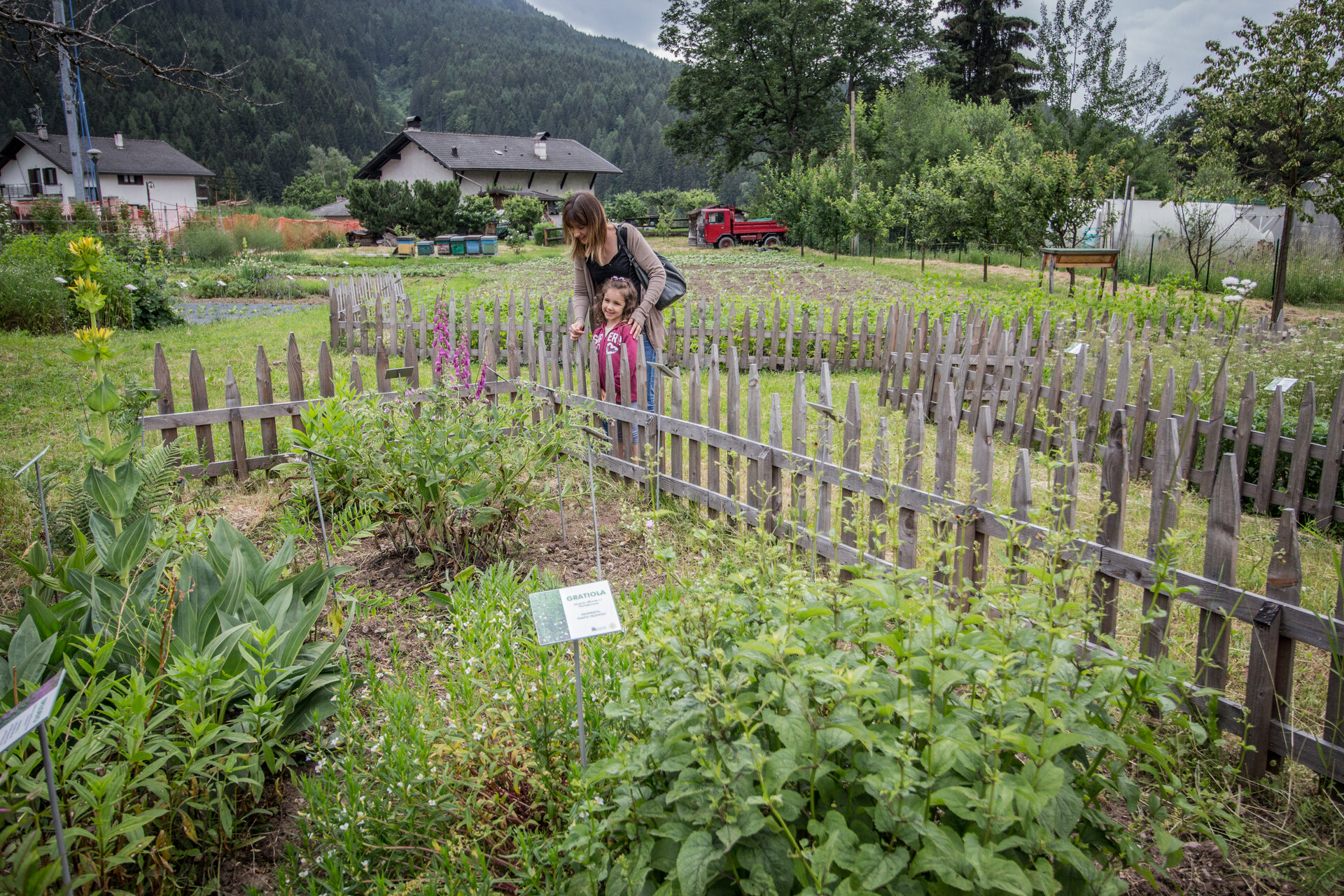 Content Dam Org 7 Images Full Rights Natura Giardino D Erbe Gocce D Oro Giardino D Erbe Ph A Monticelli