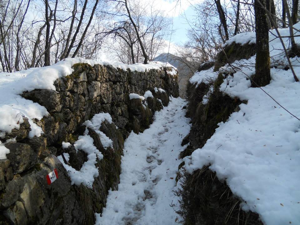 Content Dam Org 7 Images Full Rights Natura Ecomuseo Argentario Itinerario Della Grande Guerra Cover