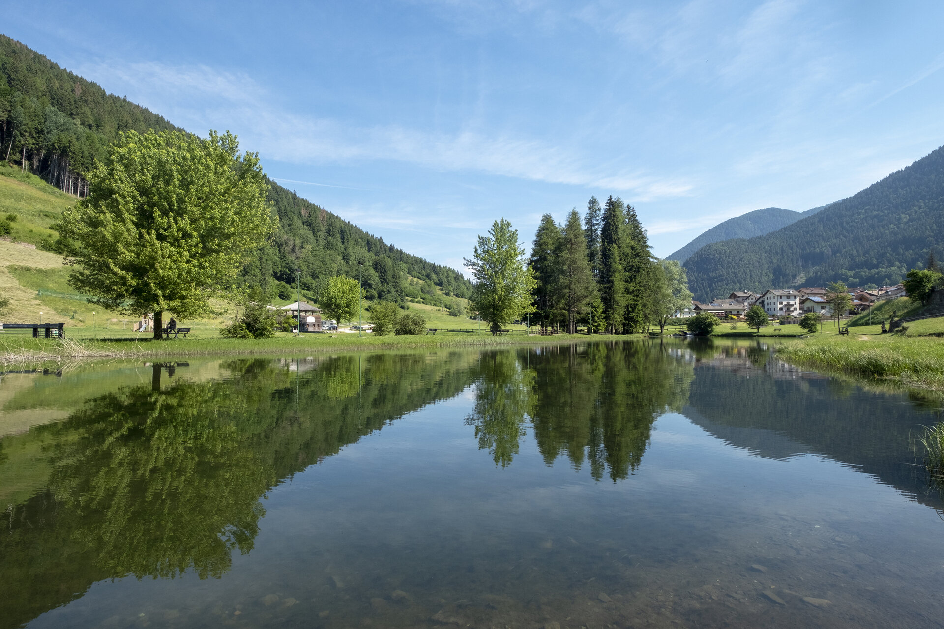 Content Dam Org 0 Images Full Rights Miste L Buse Cf7237 Copia