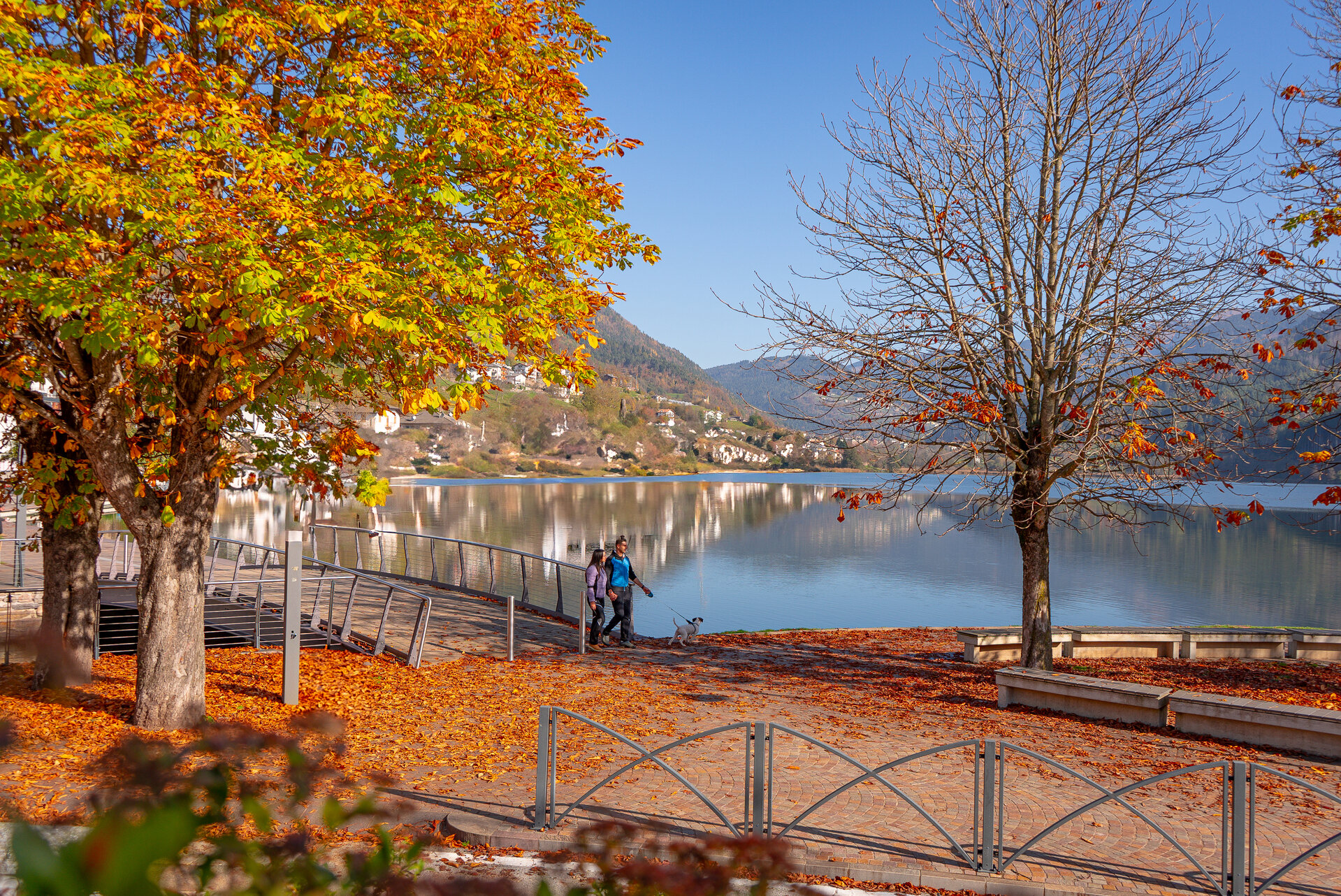 Content Dam Org 7 Images Full Rights Natura Laghi Balneabili E Spiagge Laghi Balneabili Lago Di Serraia Ph Alessia Catarozzi Autunno 2