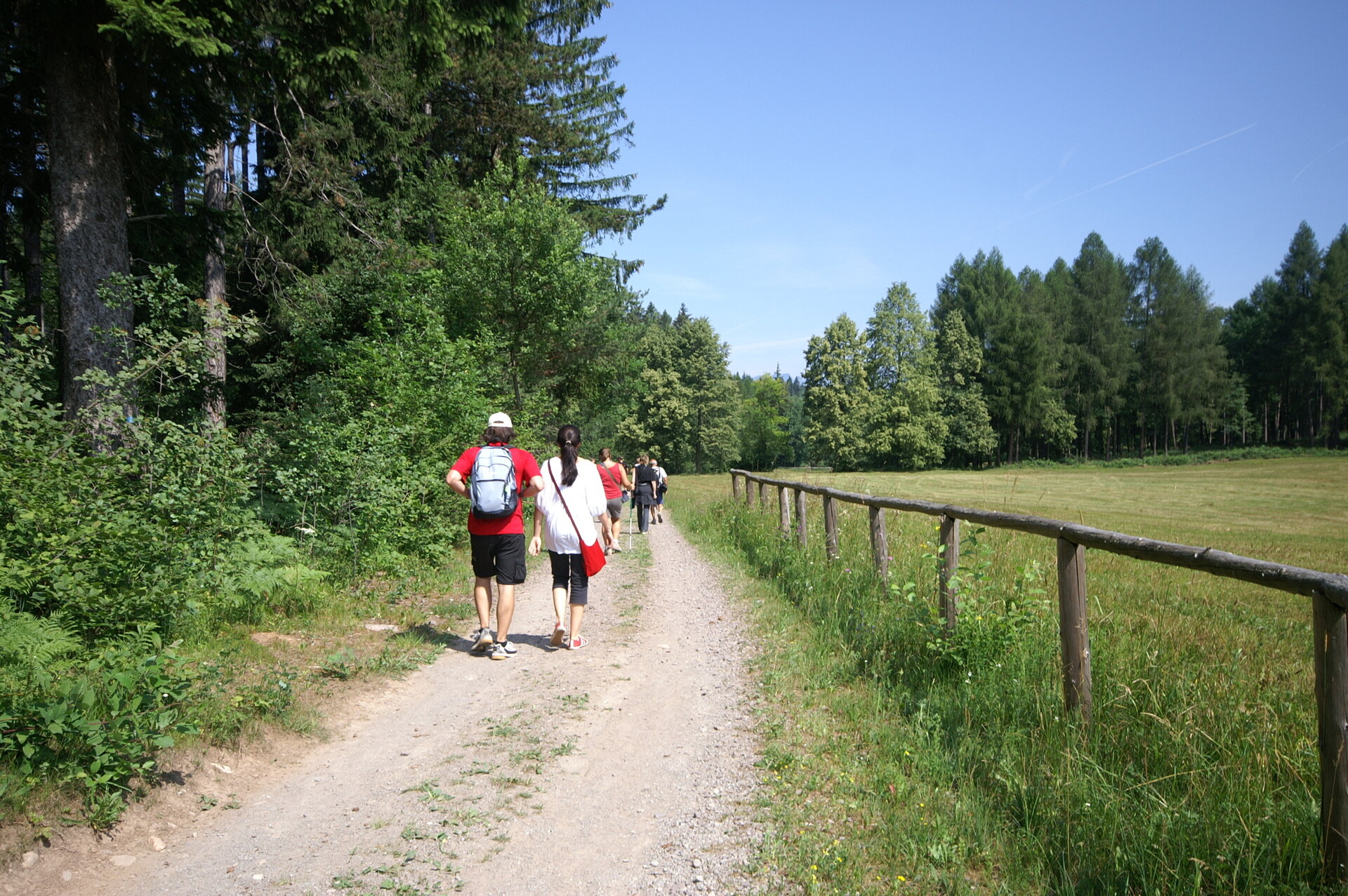 Content Dam Org 7 Images Full Rights Natura Pian Del Gacc Cucchiaio Dell Argentario Ph Sandro Zanghellini 2