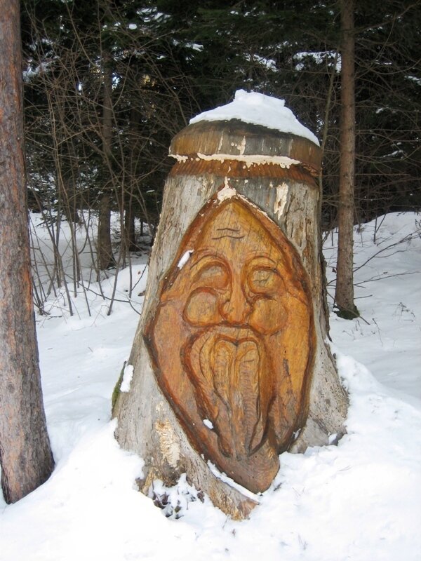 Content Dam Org 7 Images Full Rights Natura Pian Del Gacc Sentiero Gnomi Inverno Ph Archivio Apt Trento