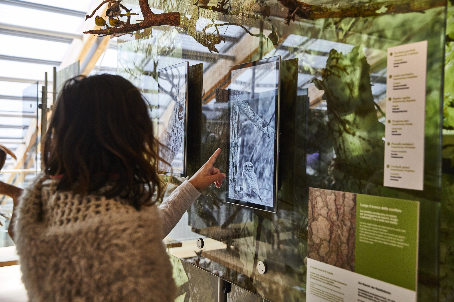 Content Dam Org 0 Images Full Rights Cultura 36092