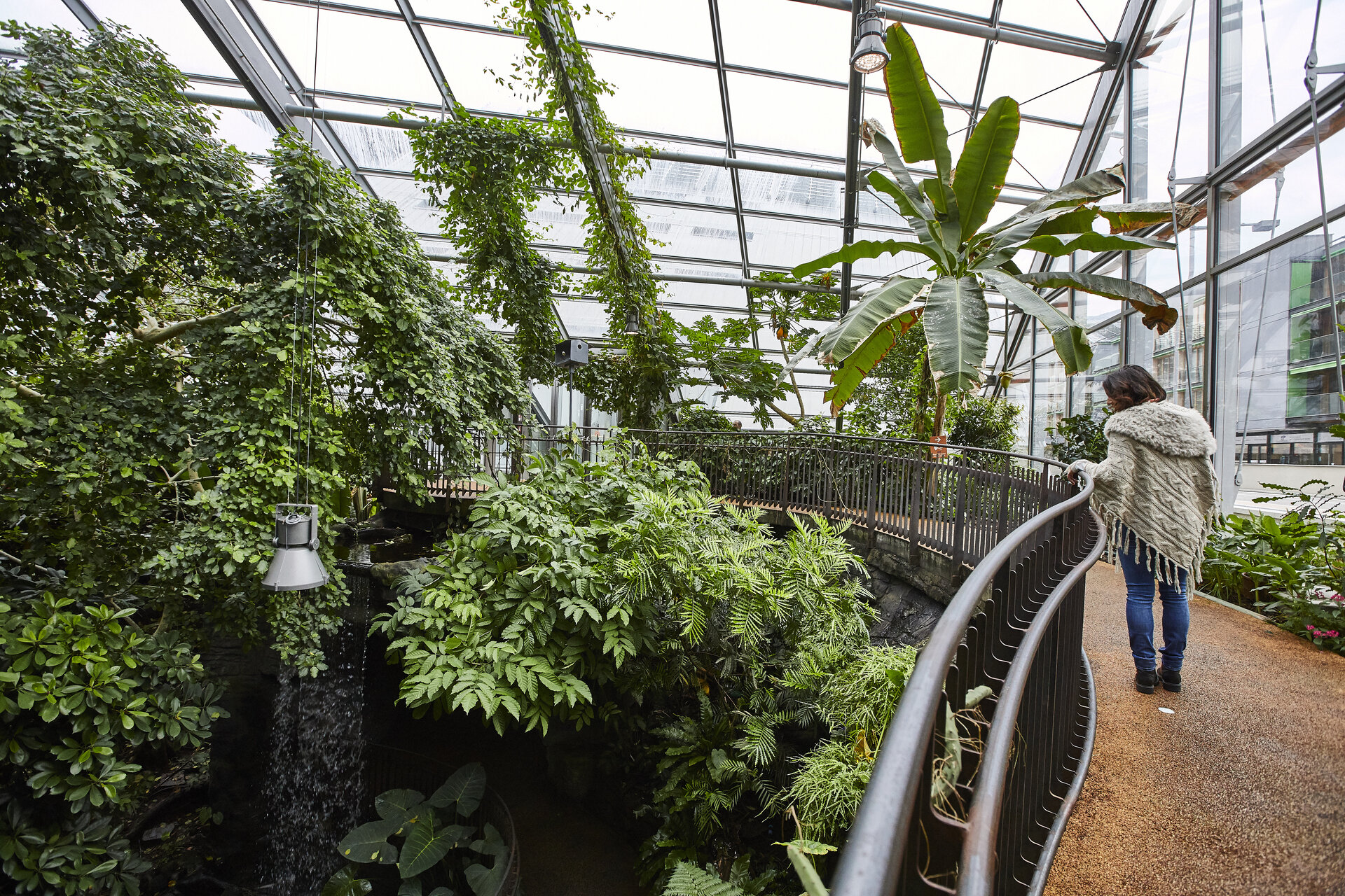 Content Dam Org 0 Images Full Rights Cultura 36101