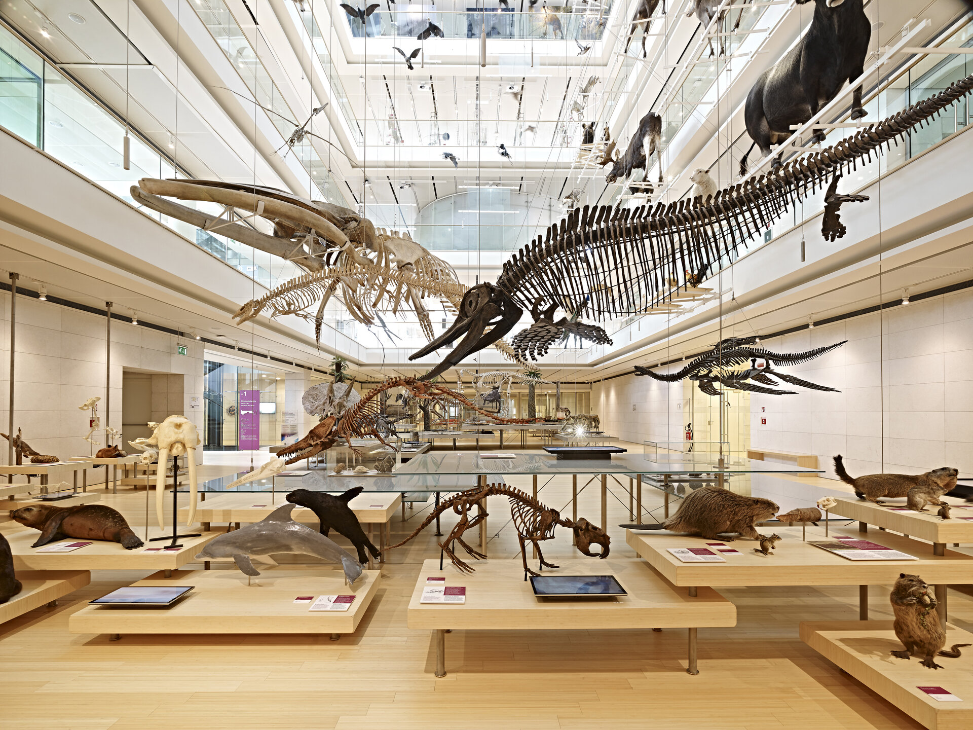 Content Dam Org 0 Images Full Rights Cultura 28147