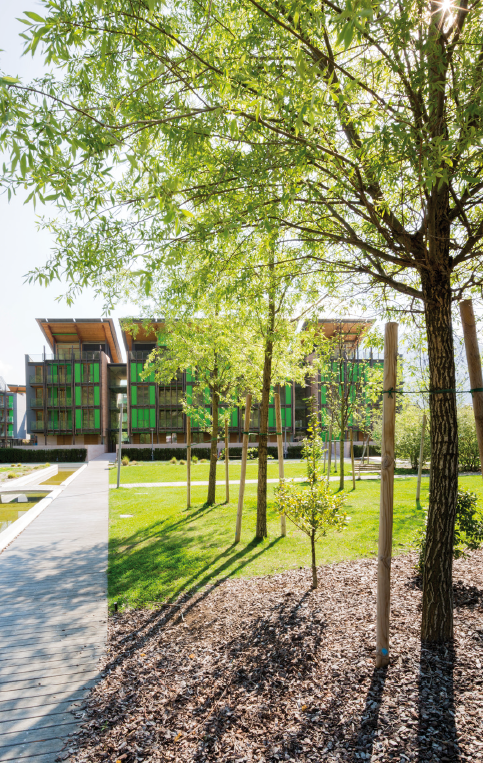 Content Dam Org 7 Images Full Rights Natura Giardini E Orti Botanici Parco Fratelli Michelin Parco Delle Albere Parco Fratelli Michelin Parco Delle Albere 2