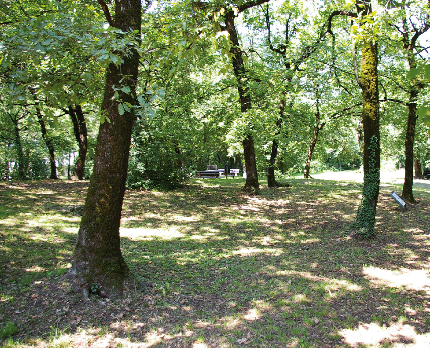 Content Dam Org 7 Images Full Rights Natura Giardini E Orti Botanici Parco Del Dos Trento Parco Del Dos Trento 2