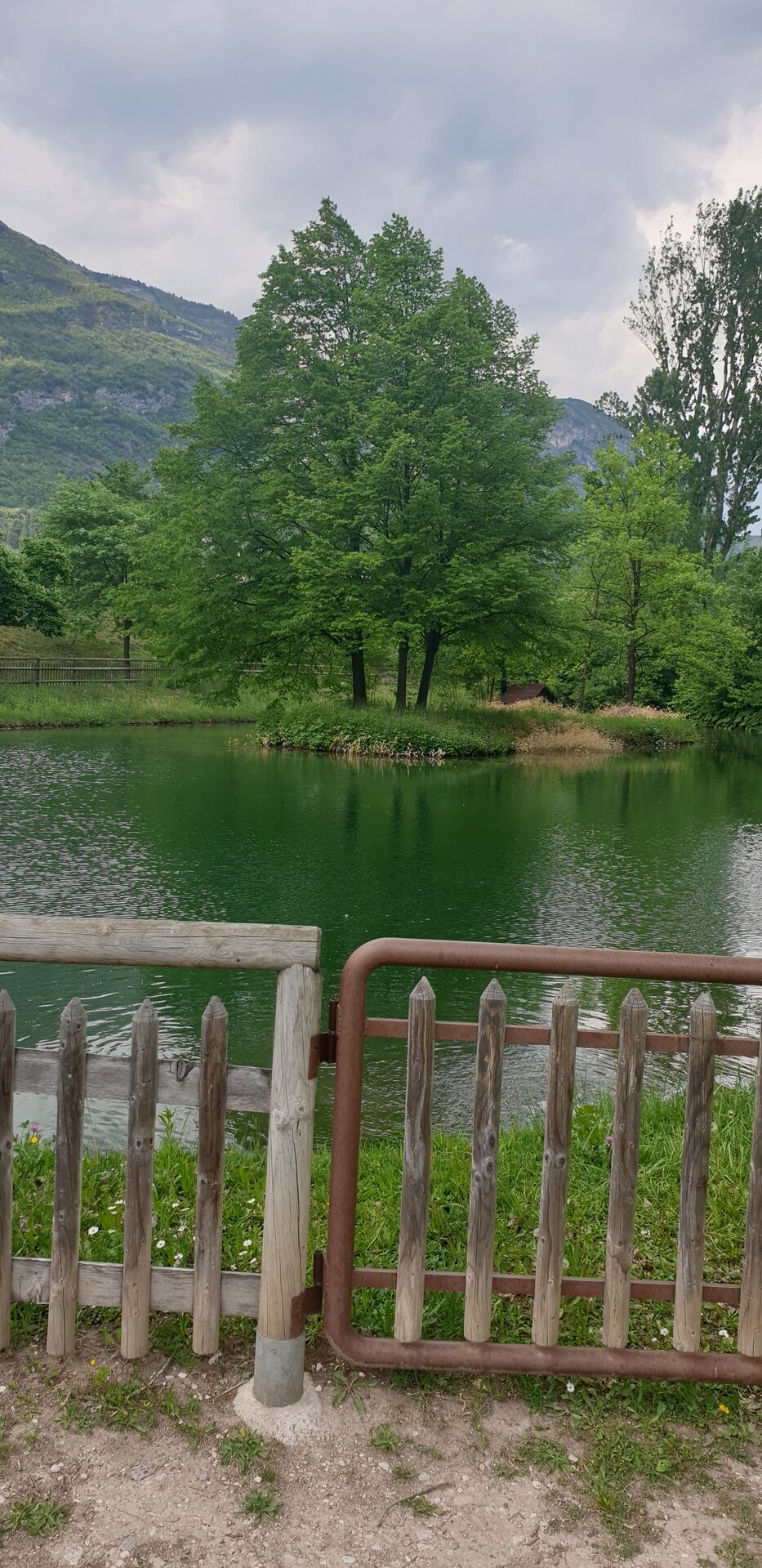 Content Dam Org 7 Images Full Rights Natura Giardini E Orti Botanici Parco Delle Albere Aldeno Aldeno Parco Delle Albere 20220504 9