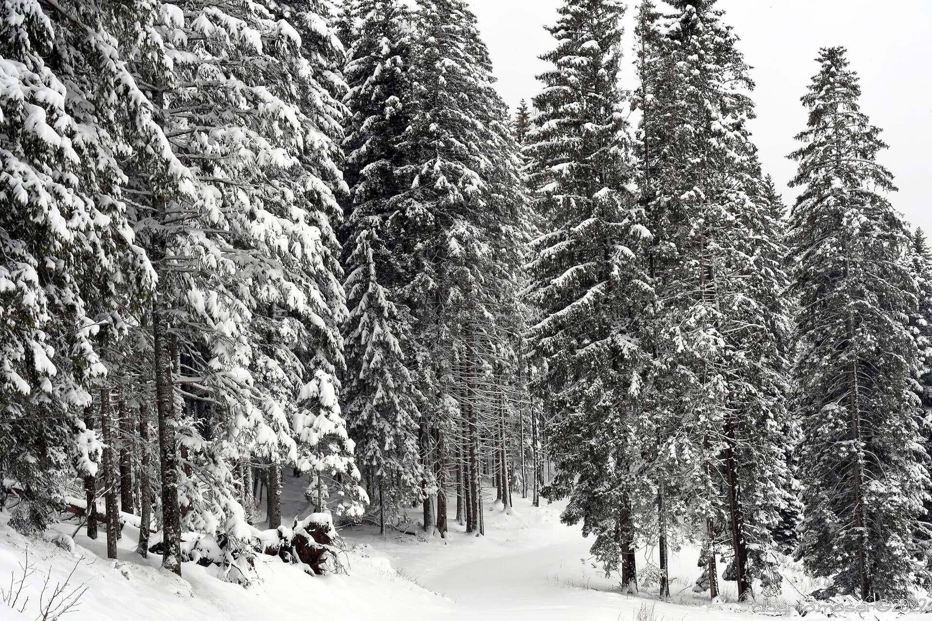 Content Dam Org 7 Images Full Rights Natura Punti Panoramici Panorama Costalta Dosso Di Costalta Inverno Ph Alberto Moser 1