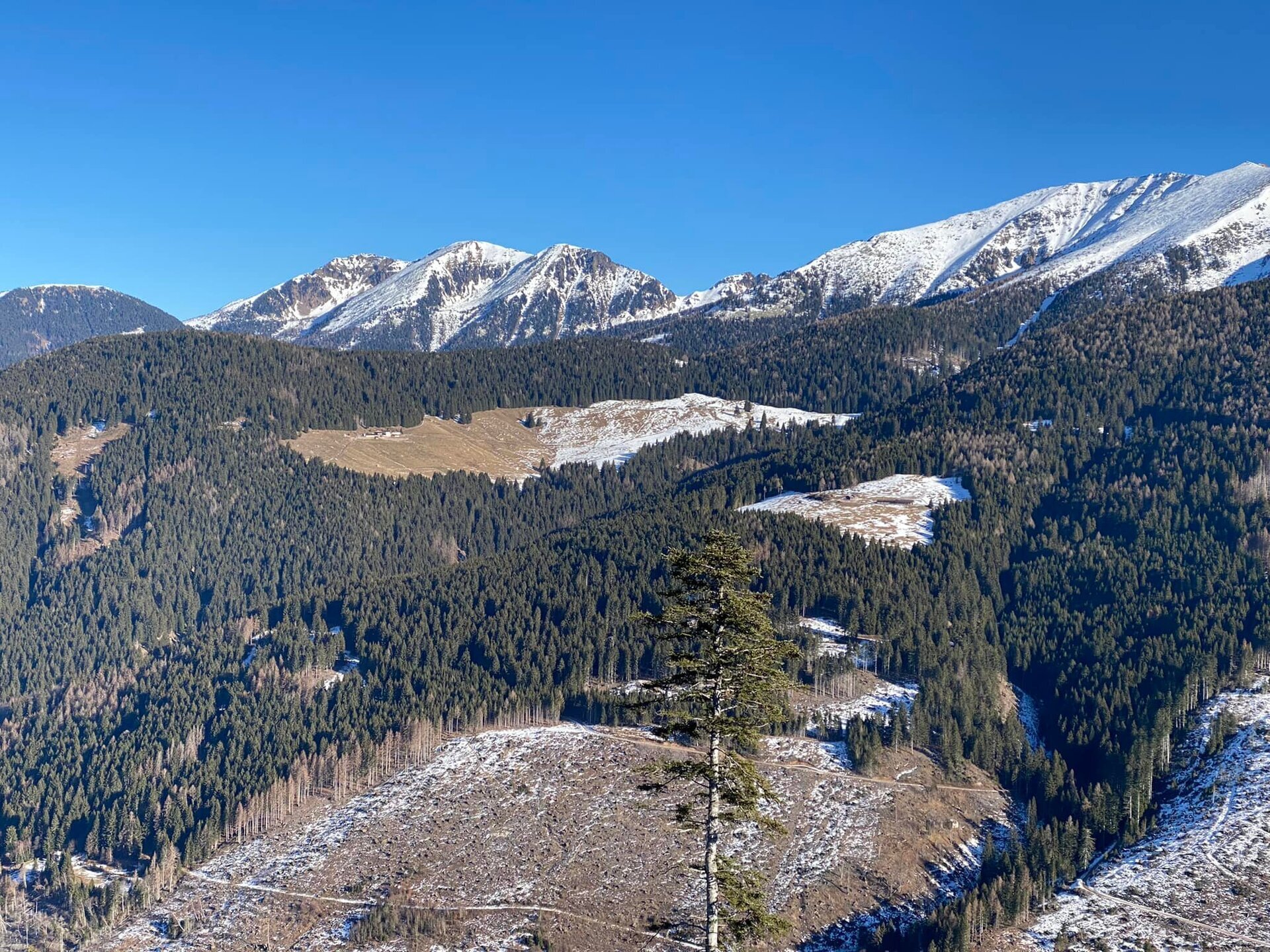 Content Dam Org 7 Images Full Rights Natura Punti Panoramici Panorama Costalta Dosso Di Costalta Ph Paolo Frassoni 2