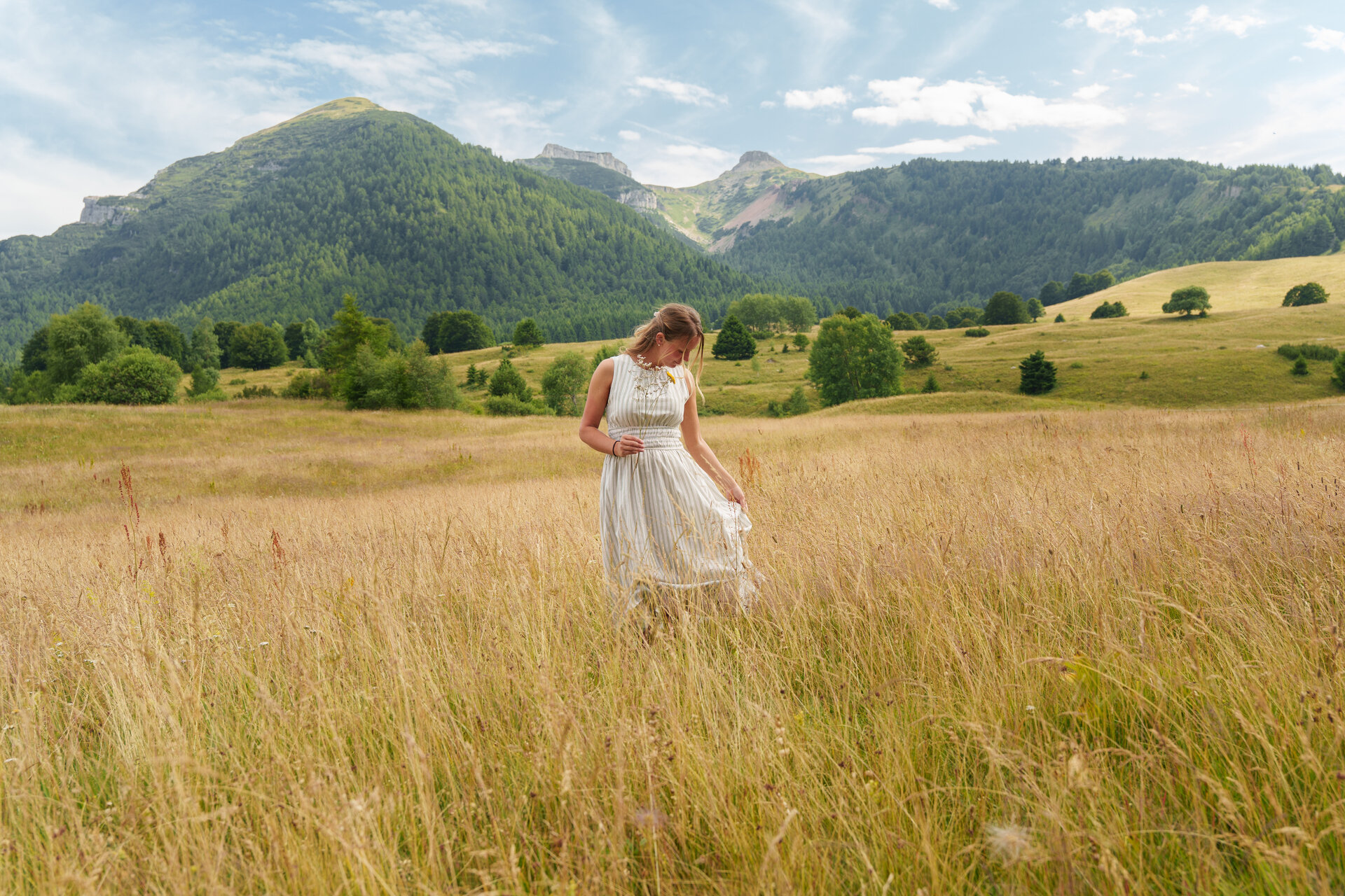 Content Dam Org 7 Images Full Rights Natura Rete Riserve Bondone Viote Ph Dejan Bilic