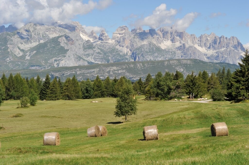 Content Dam Org 7 Images Full Rights Natura Rete Riserve Bondone A Garzetti Rete Riserva Bondone 1