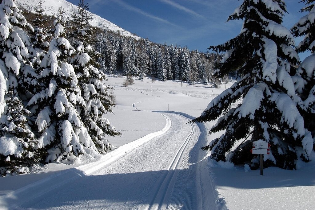 Content Dam Org 7 Images Full Rights Natura Rete Riserve Bondone R Magrone Rete Riserva Bondone 2