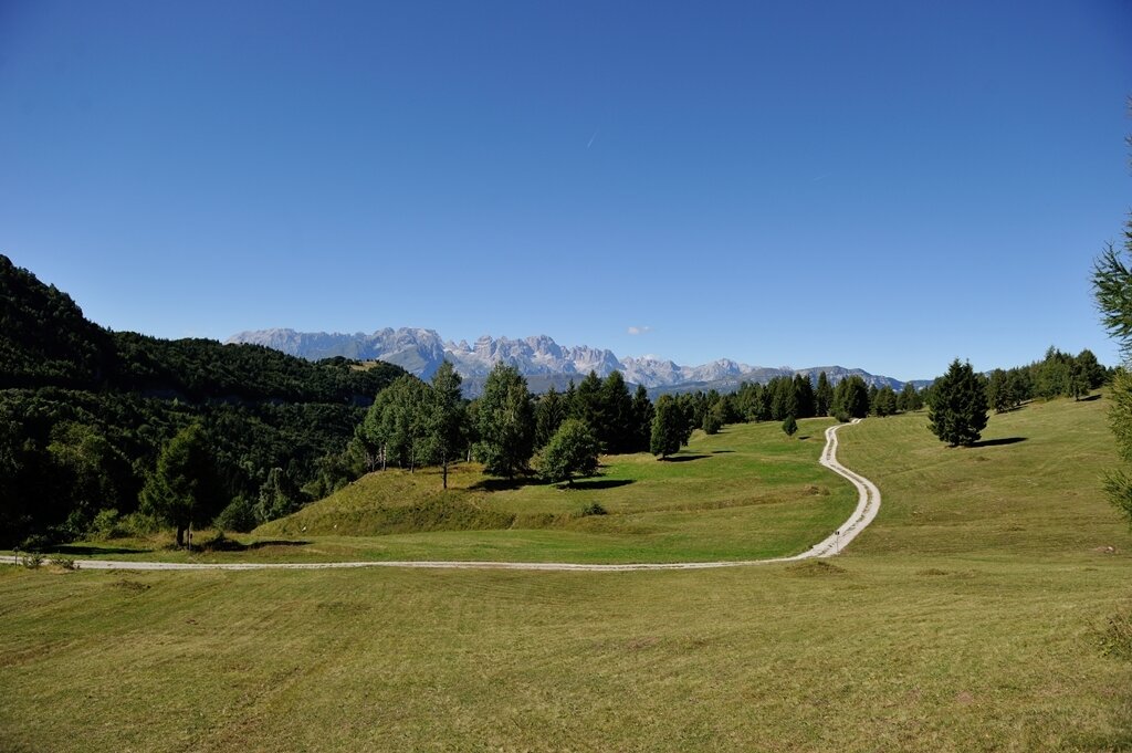 Content Dam Org 7 Images Full Rights Natura Rete Riserve Bondone A Garzetti Rete Riserva Bondone 2